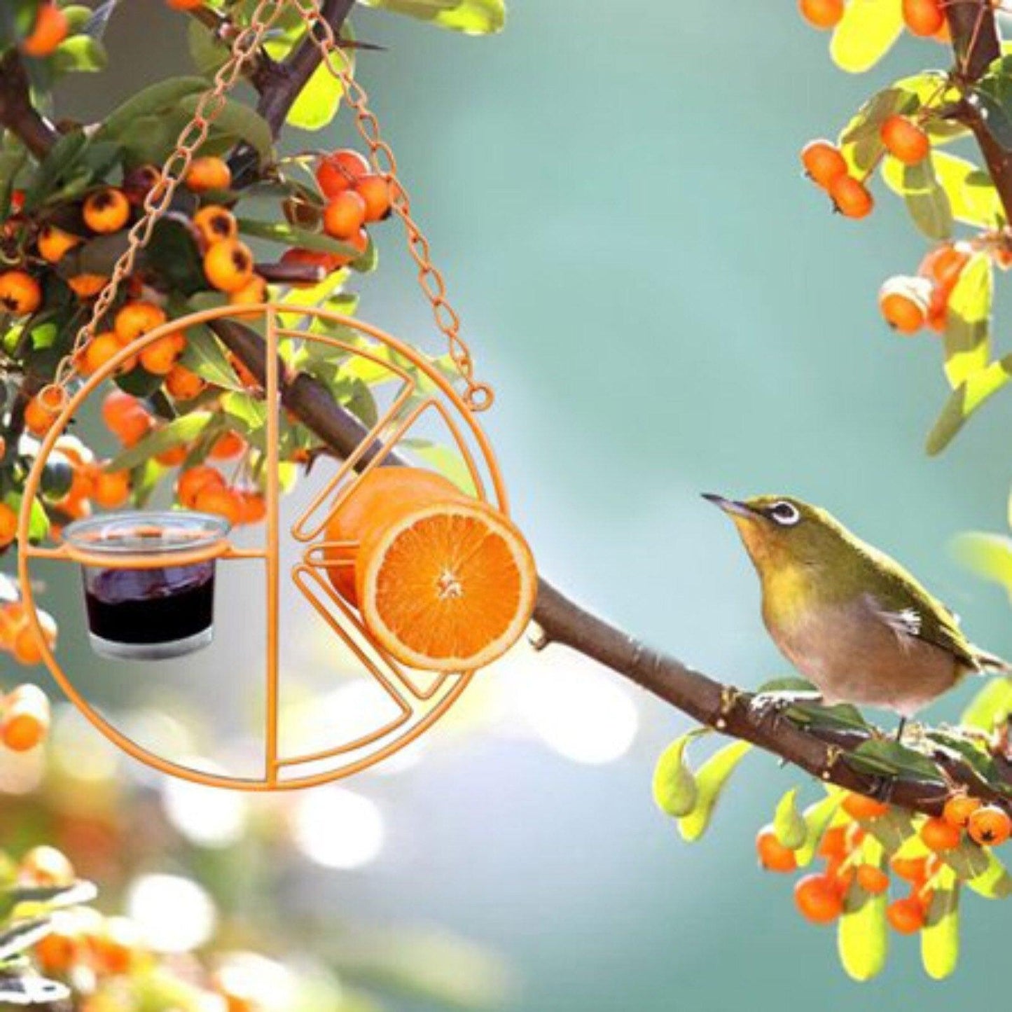 Deluxe Metal Swing Bird Feeder
